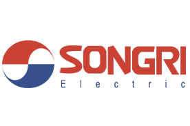 Выключатель Songri Electric,